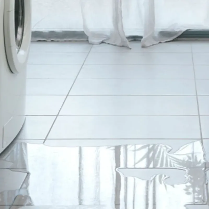 Appliance Leak Cleanup in Dickinson County, MI