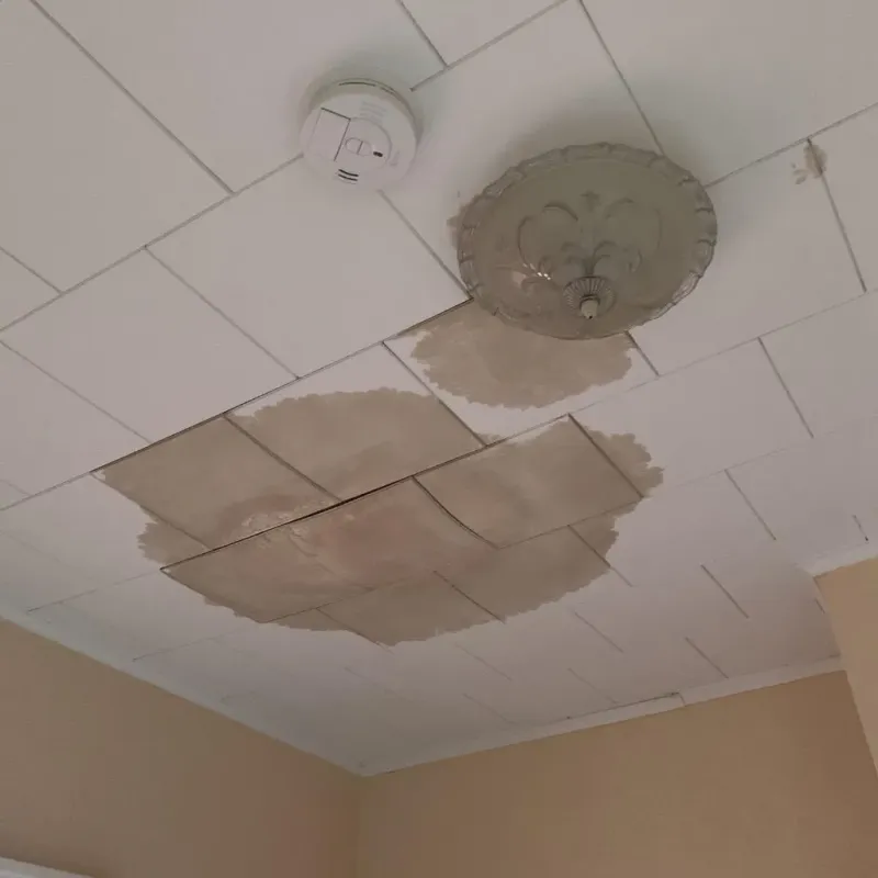 Ceiling Water Damage Repair in Dickinson County, MI