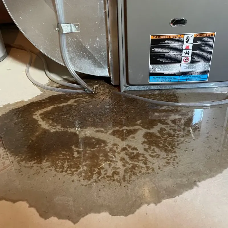 Pipe Burst and Leak Restoration in Dickinson County, MI